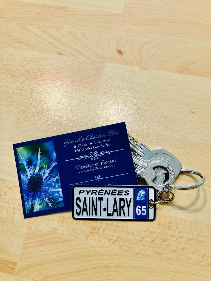 Gite 3*** Le Chardon Bleu Saint-Lary-Soulan Dış mekan fotoğraf